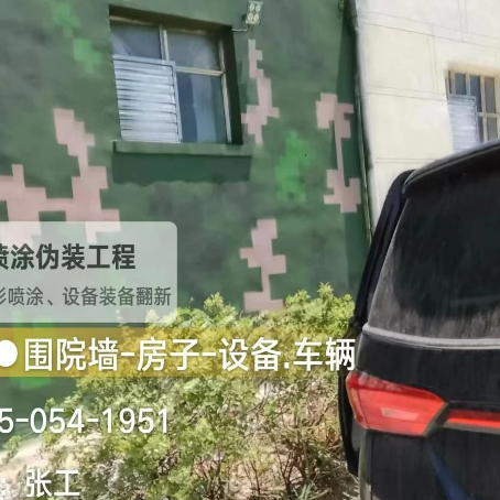 门头沟数码迷彩漆施工